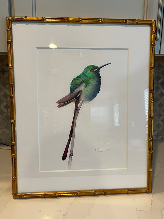 RED-TAILED COMET 1 | Hummingbird Art | Original Watercolor Painting
