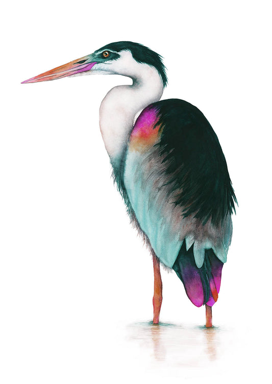 Jade Heron | Heron Watercolor Art Print | Bird Art Giclée