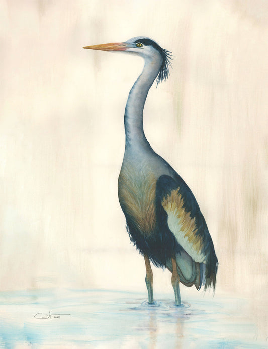 Marsh Heron in Blue | Heron Watercolor Art Print | Bird Art Giclée