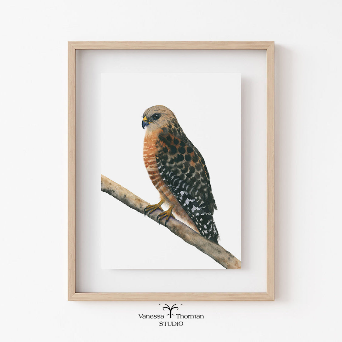 Framed artwork of a bird perched on a branch with 'Vanessa Thornton Studio' branding.