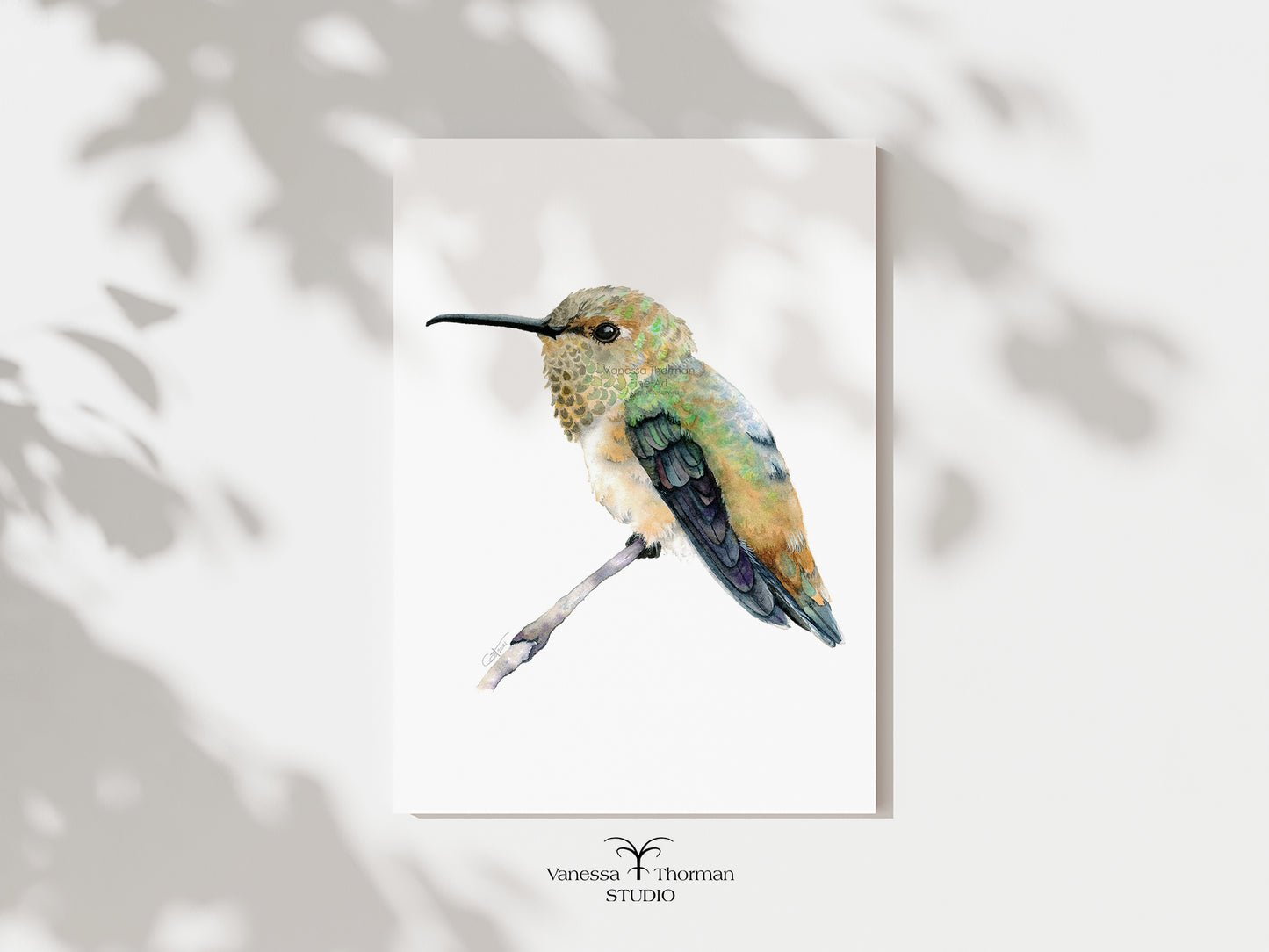 Rufous Hummingbird | Hummingbird Watercolor Art Print | Bird Art Giclée
