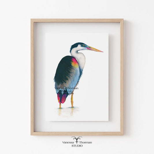 Framed artwork of a colorful bird by Vanessa Thompson Studio on a white wall.