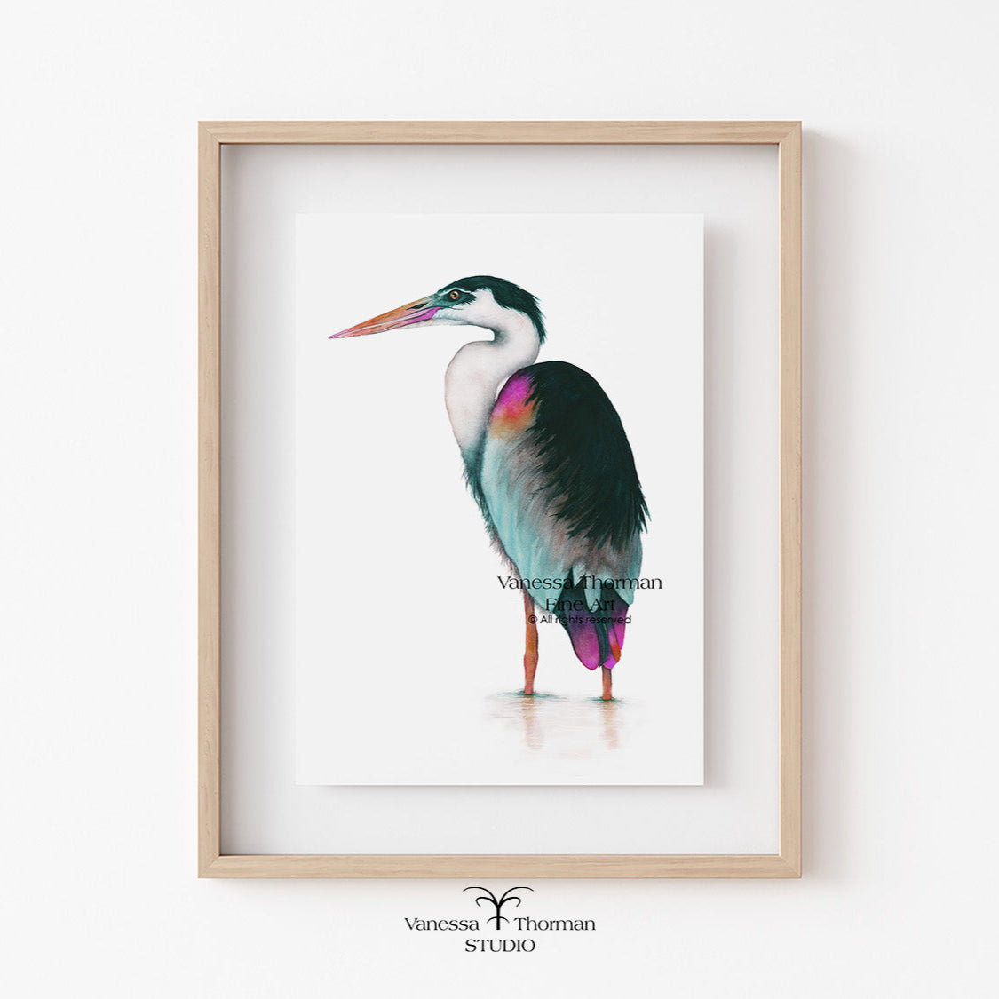 Framed artwork of a colorful bird by Vanessa Thompson Studio on a white wall.
