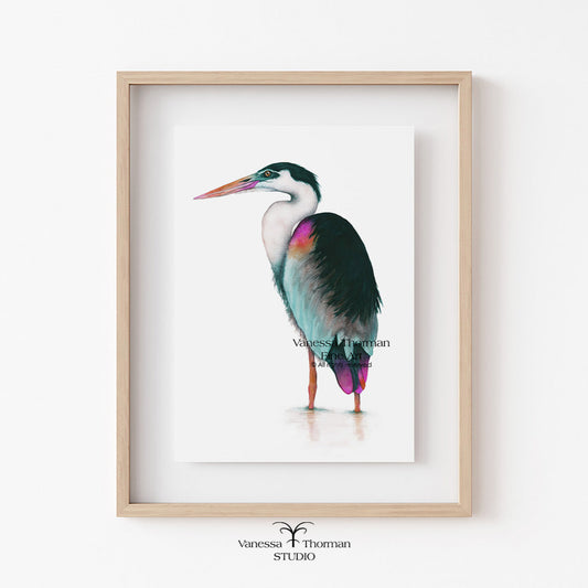 Framed artwork of a colorful bird by Vanessa Thompson Studio on a white wall.