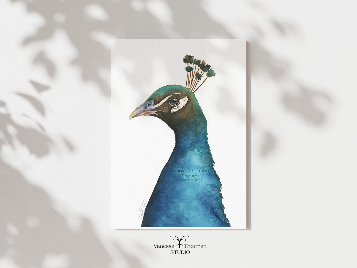 Indian Pea Fowl | Peacock Watercolor Art Print | Bird Art Giclée