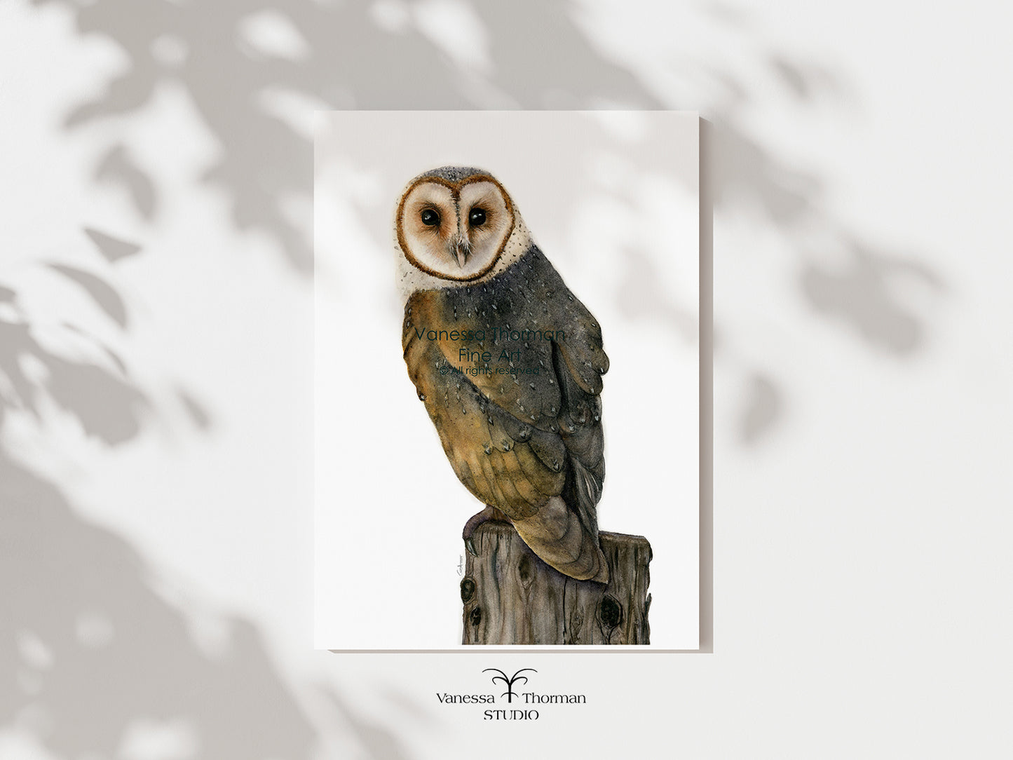 Barn Owl | Owl Watercolor Art Print | Bird Art Giclée
