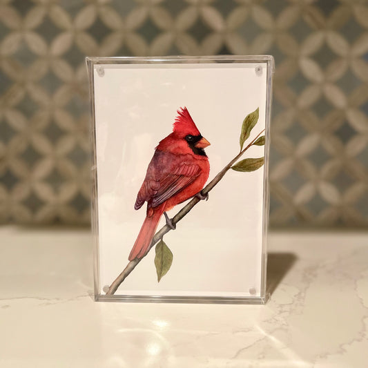 Northern-Cardinal-Watercolor-Art-in-Acrylic-Block-Frame-1