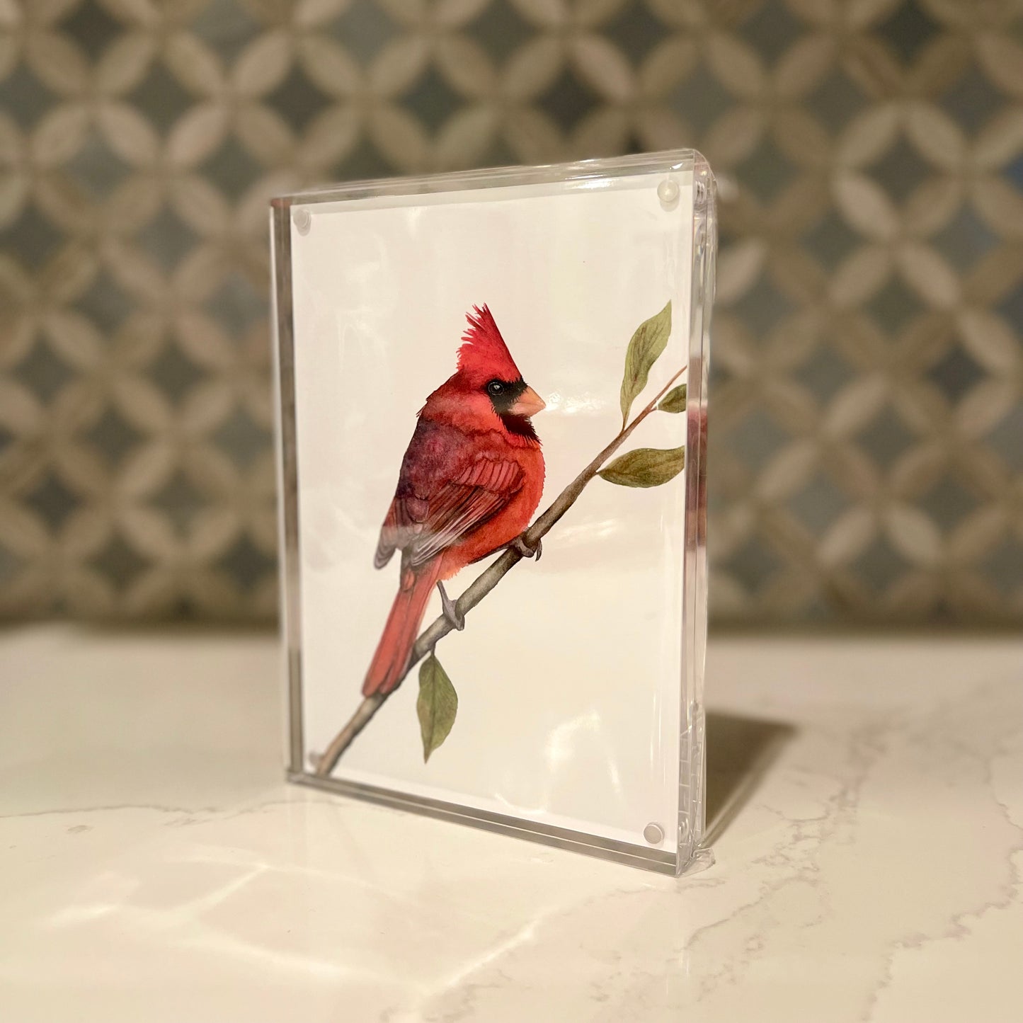 Northern Cardinal Watercolor Art in Acrylic Block Frame – 5x7 Fine Art Print by Award-Winning Artist