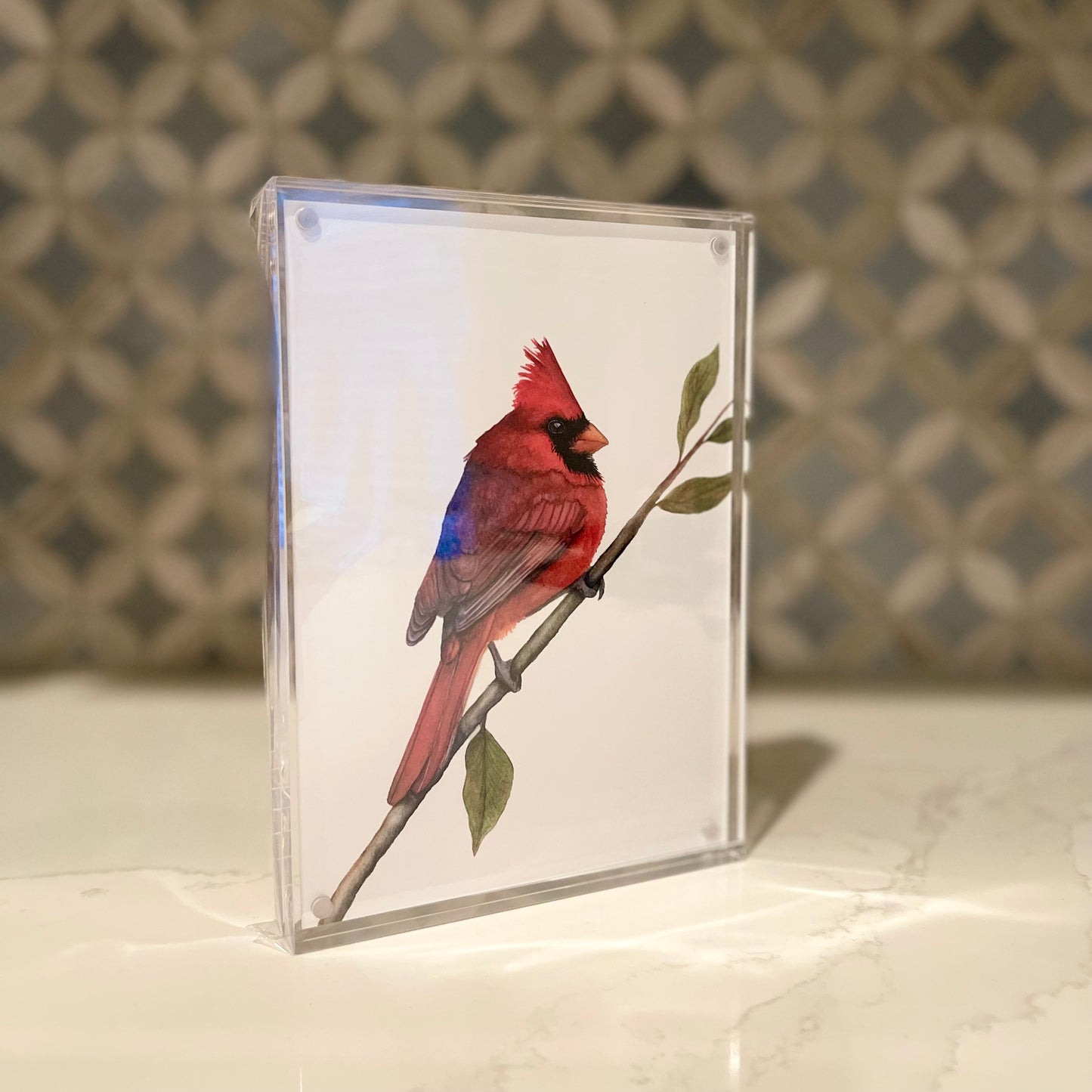 Northern Cardinal Watercolor Art in Acrylic Block Frame – 5x7 Fine Art Print by Award-Winning Artist