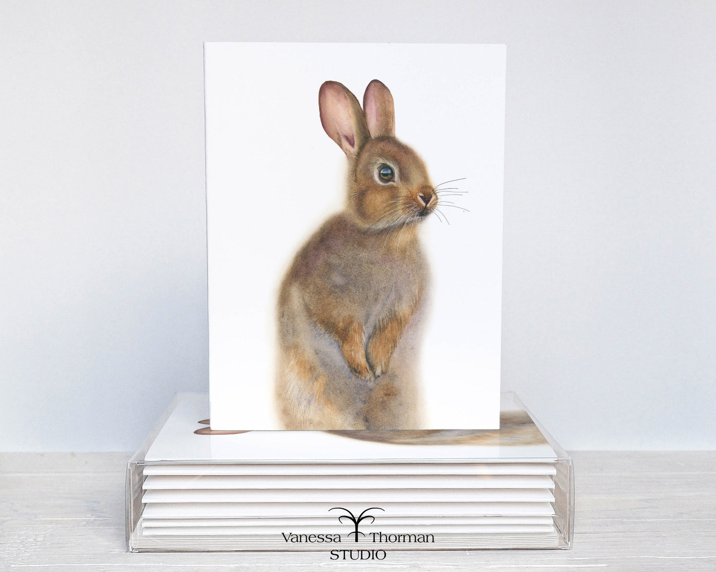 Bunny Notecards| Eastern Cottontail Rabbit | Set of 8 Blank Greeting Cards