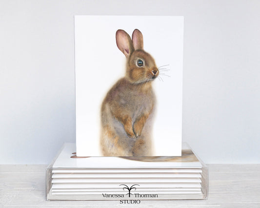 Bunny Notecards| Eastern Cottontail Rabbit | Set of 8 Blank Greeting Cards