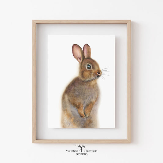 A watercolor illustration of a brown rabbit with a white belly, titled 'Nutmeg the Bunny' by Vanessa Thorman.