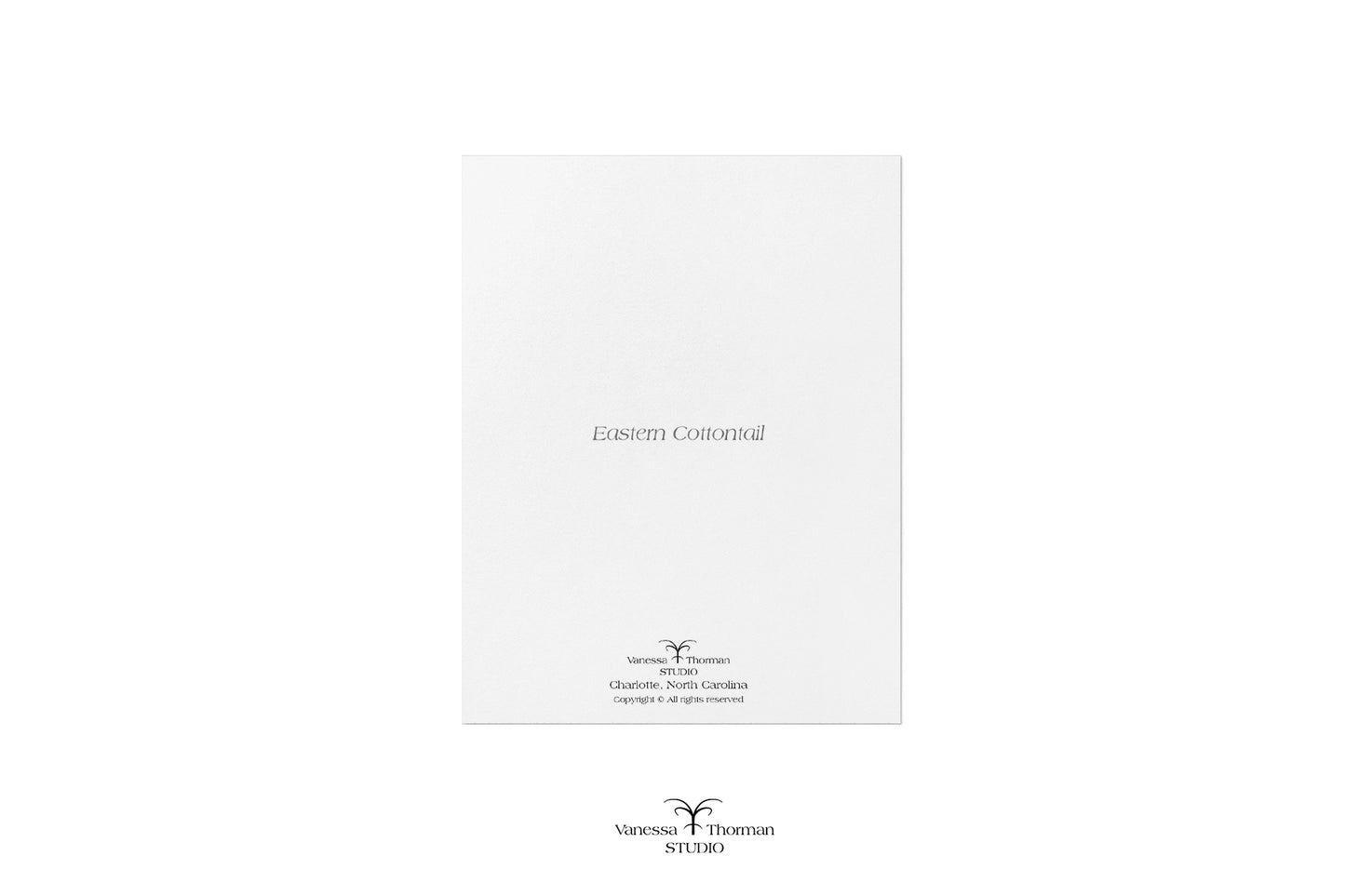 Bunny Notecards| Eastern Cottontail Rabbit | Set of 8 Blank Greeting Cards