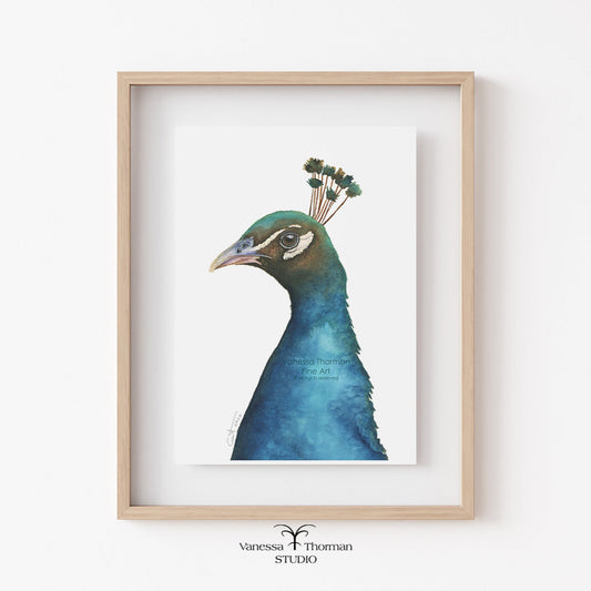 Peacock-watercolor-art-print-1
