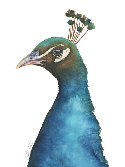 Peacock Portrait Watercolor Art Print – Elegant Bird Illustration – Fine Art Giclée