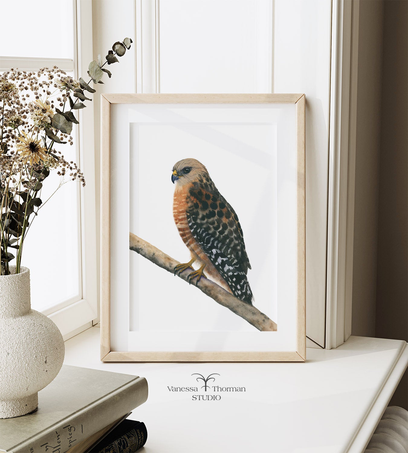Red-Shouldered Hawk Watercolor Art Print – Raptor Art - Fine Art Giclée