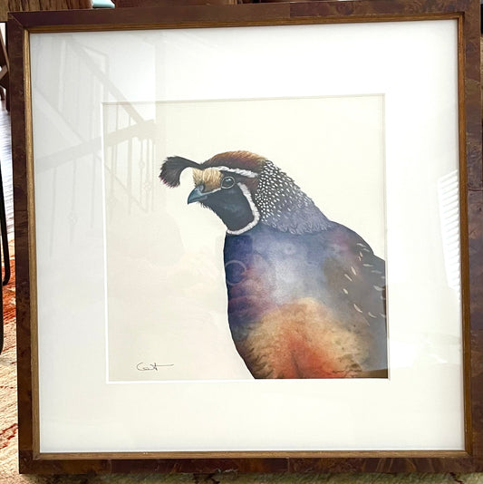 ROMEO | California Quail Art | Original Watercolor Painting