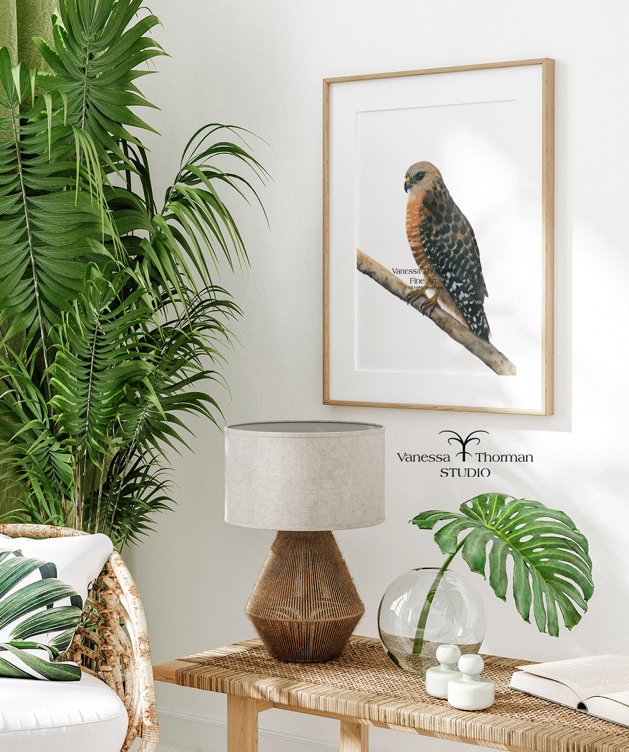 Red-Shouldered Hawk Watercolor Art Print – Raptor Art - Fine Art Giclée