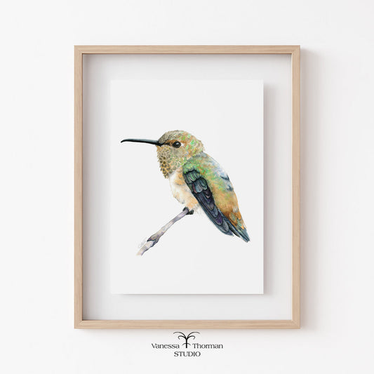 Rufous-hummingbird-watercolor-art-print-1