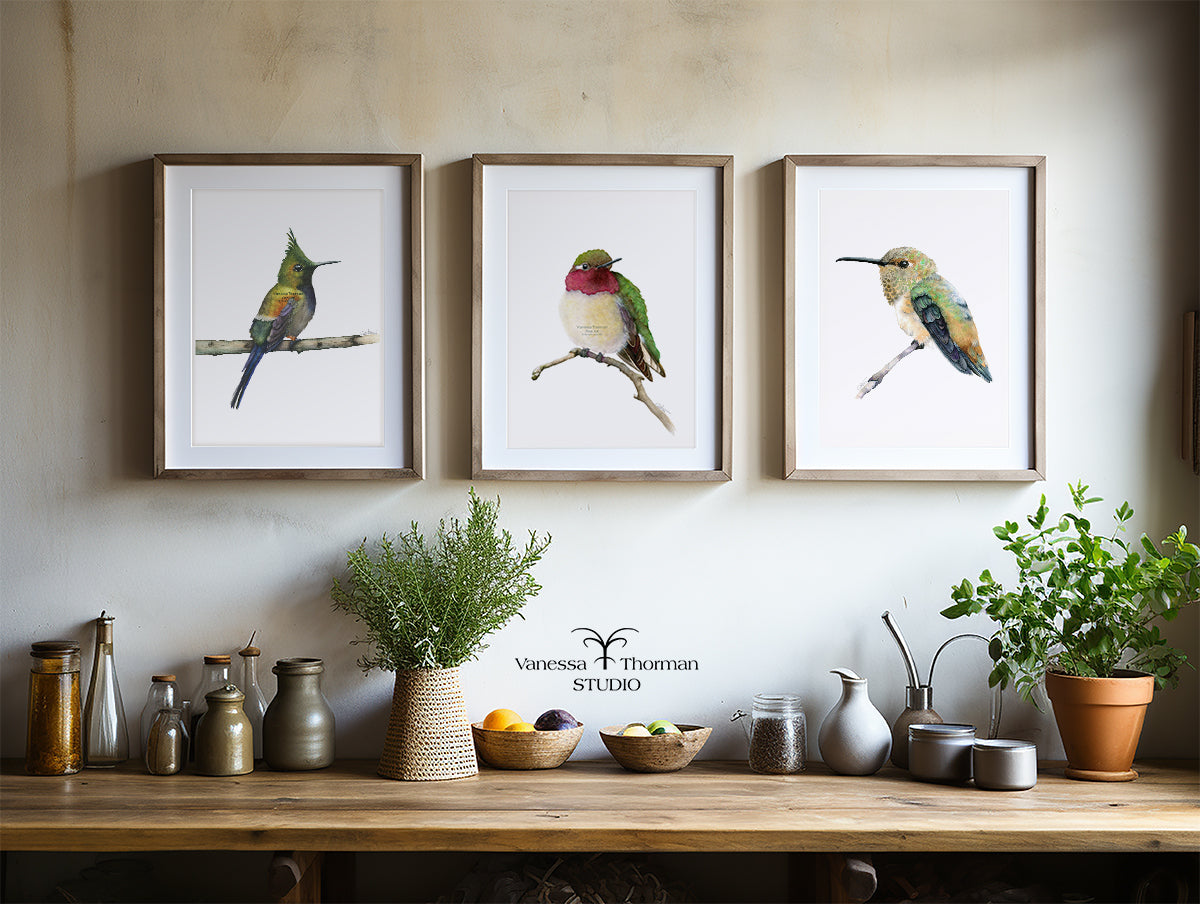 Rufous-hummingbird-watercolor-art-print-1
