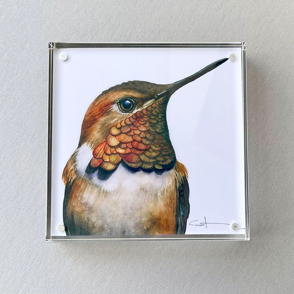 Framed artwork of a hummingbird