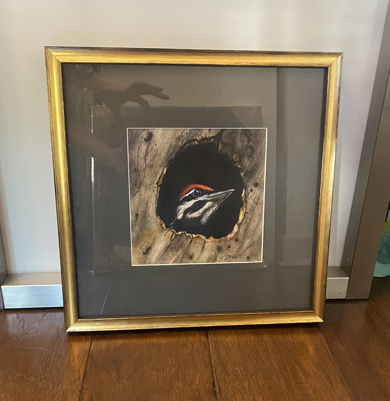 SCOUT | Fledgling Pileated Woodpecker | Woodpecker Original Watercolor Painting