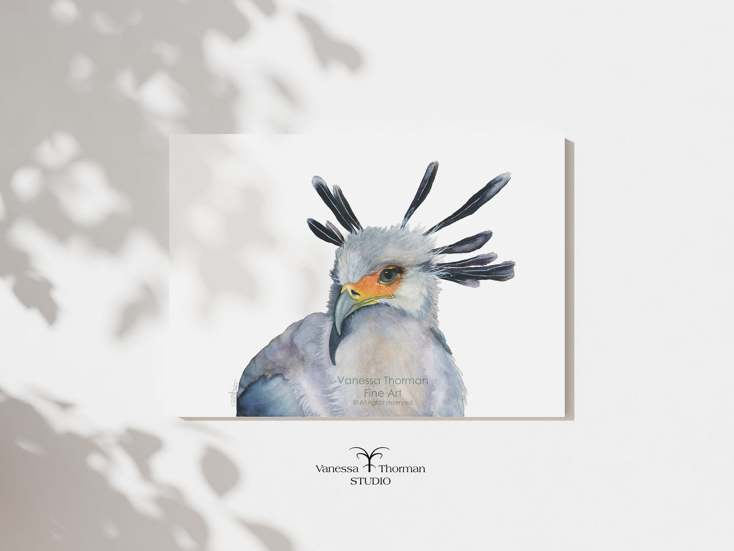 Secretarybird-Watercolor-art-print-1