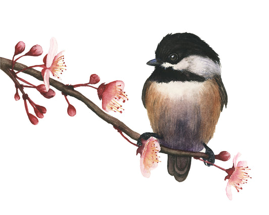 Bird perched on a branch with pink flowers on a white background