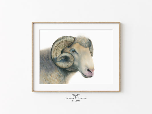 UNC-Mascot-Ram-Watercolor-Art-Print-1