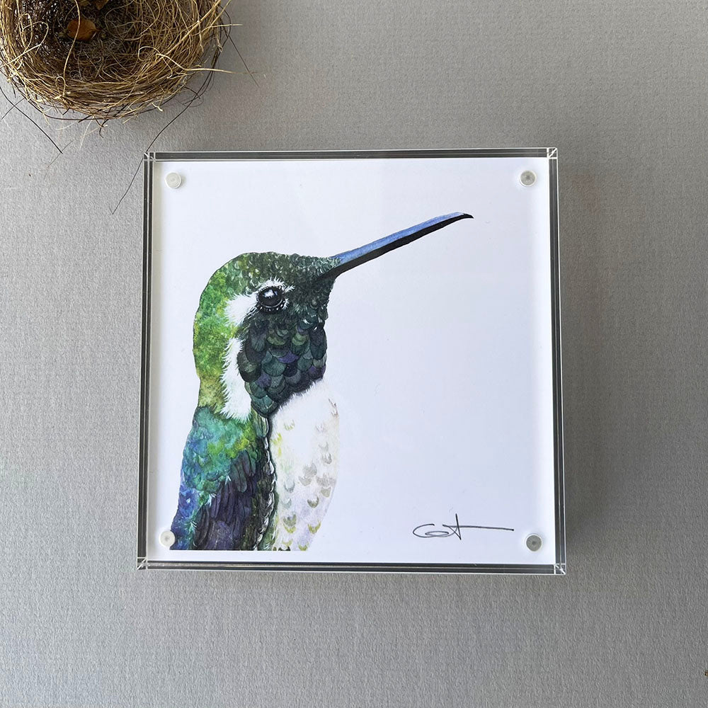 Framed desk art of a hummingbird