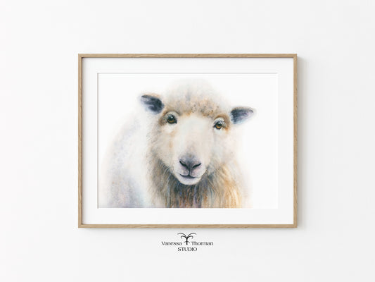 William-Sheep-watercolor-art-print-1