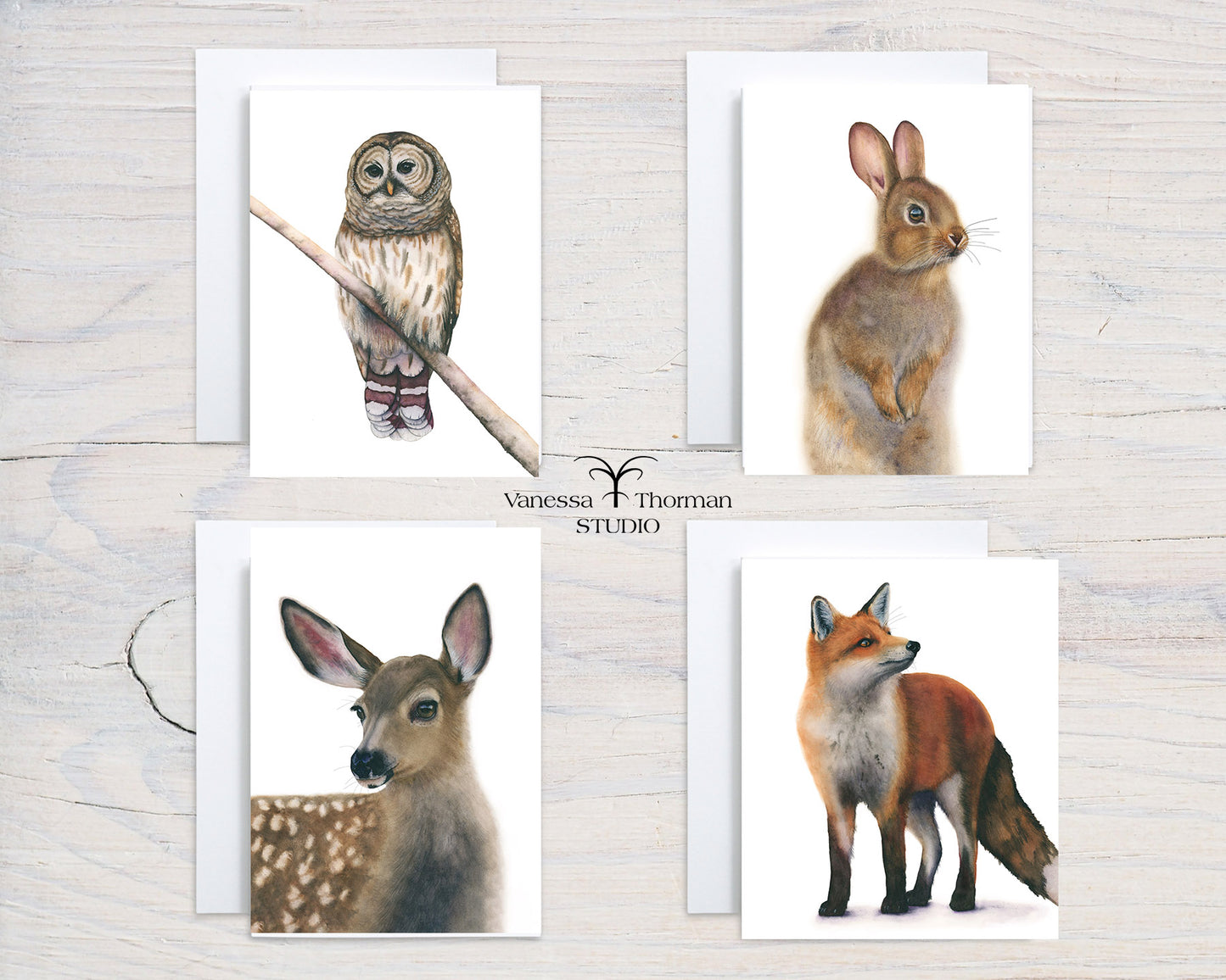 Woodland Animals Notecard Set – 8 Blank Greeting Cards with Envelopes – Watercolor Animal Illustrations