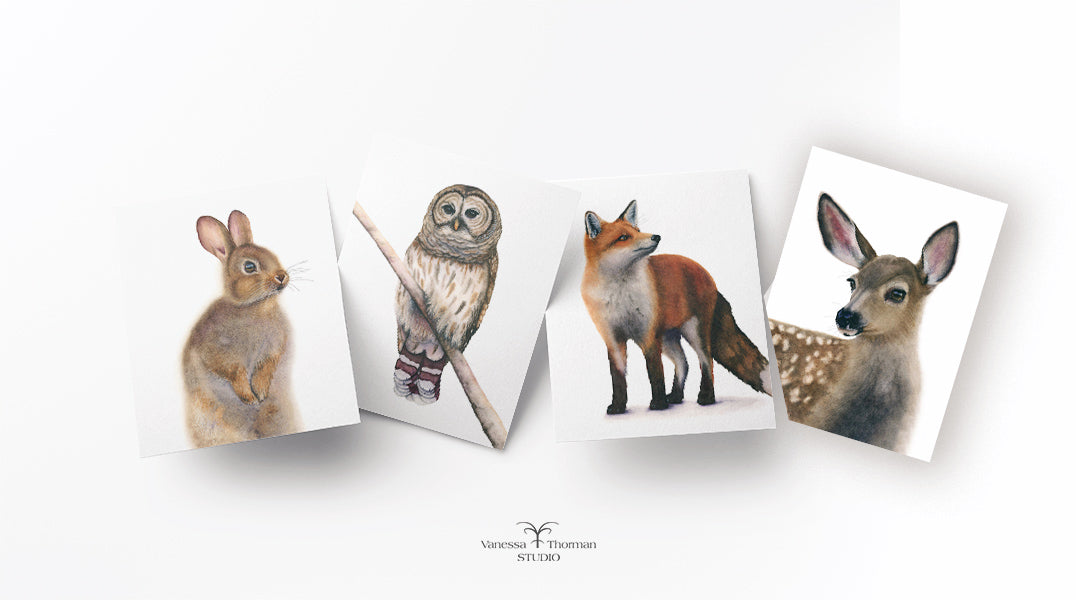 Fox Notecards| Set of 8 Blank Greeting Cards