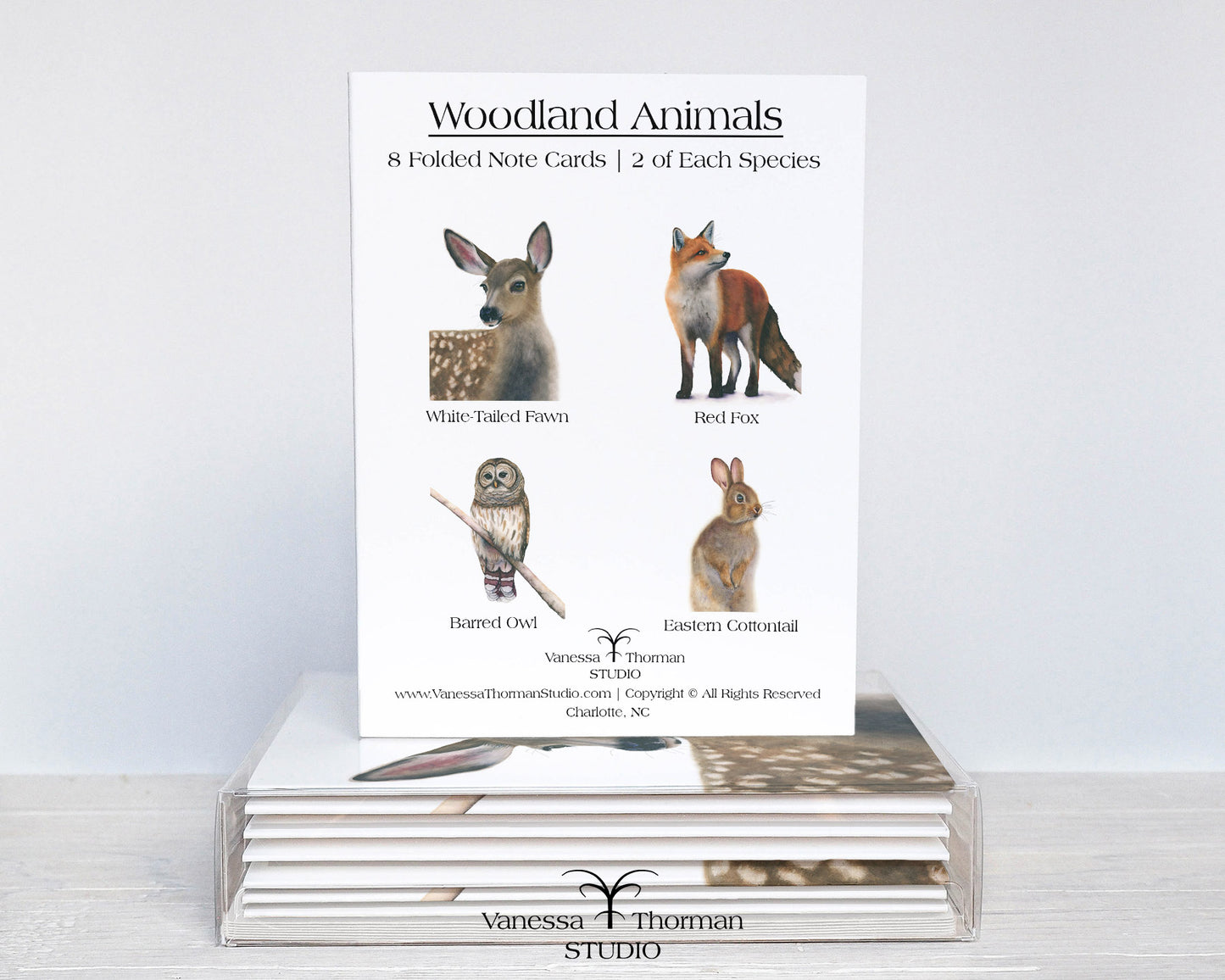 Woodland Animals Notecard Set – 8 Blank Greeting Cards with Envelopes – Watercolor Animal Illustrations