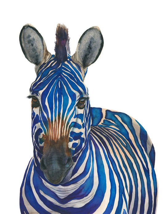 Zebra with blue and white stripes on a white background