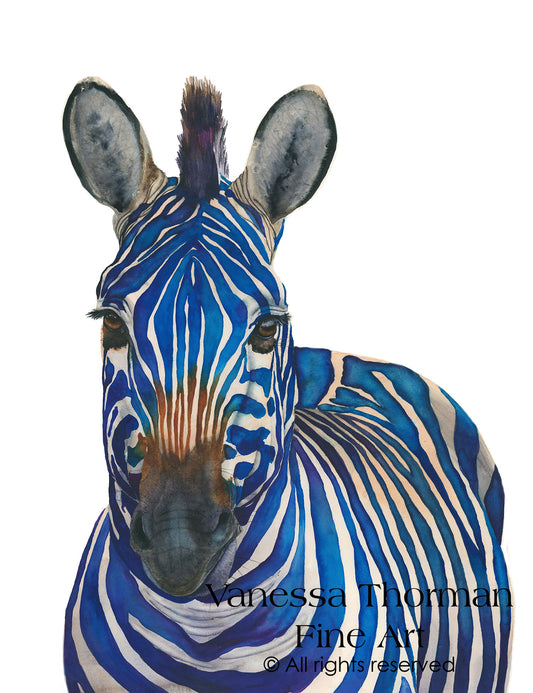 AZUL | Blue Zebra Watercolor Art Print – Fine Art Giclée