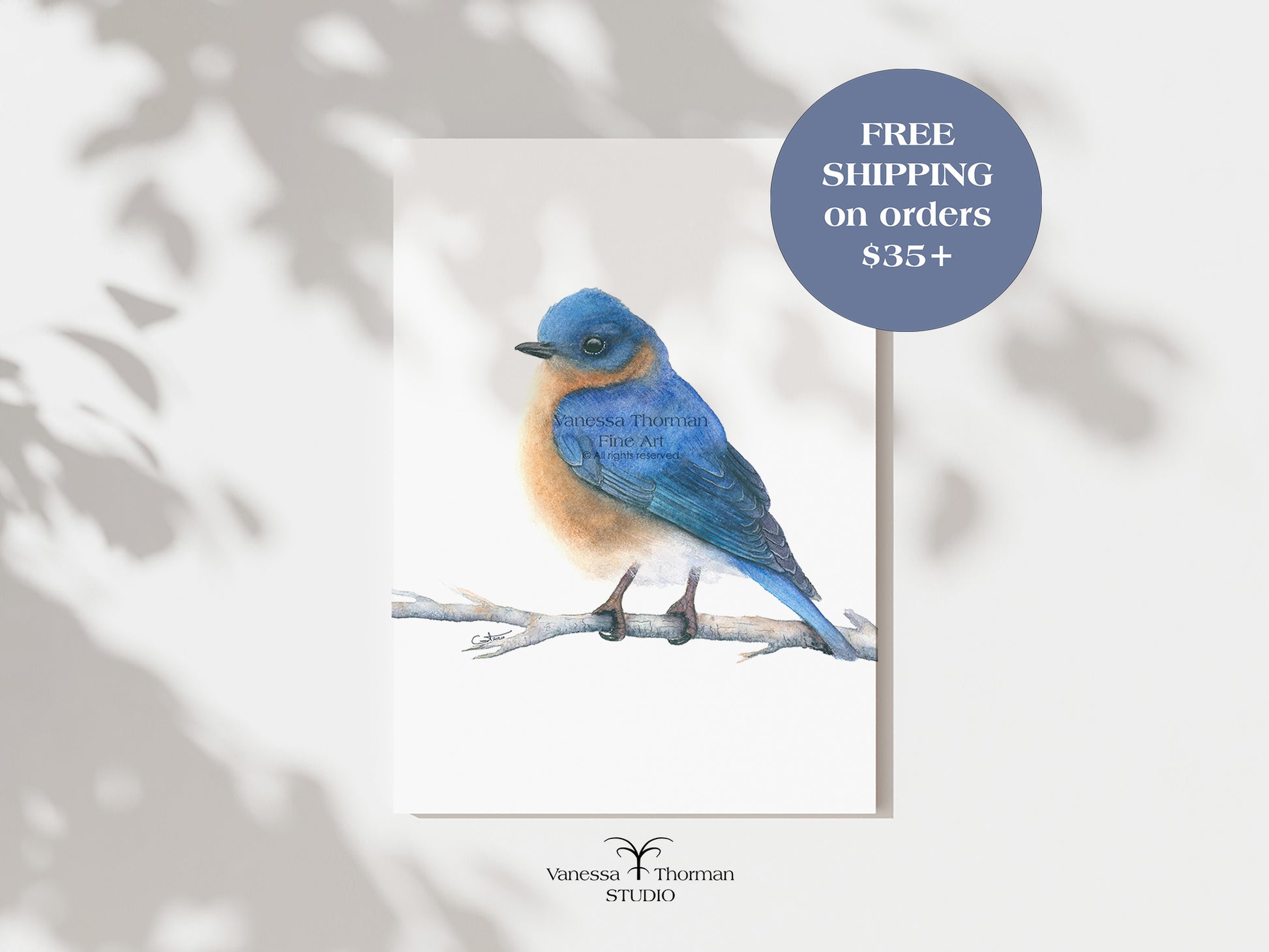 eastern-bluebird-watercolor-art-print-1