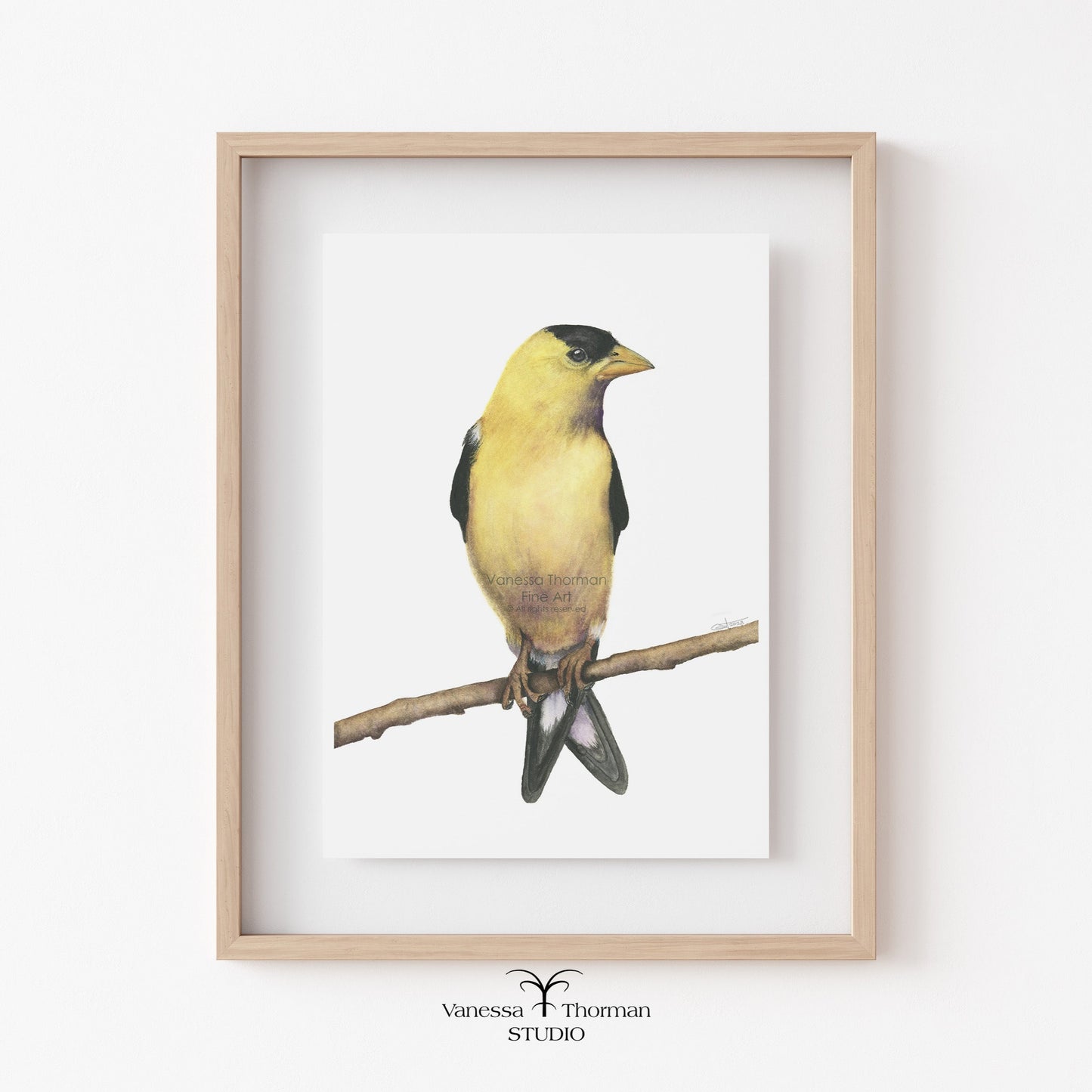 goldfinch-watercolor-art-print-1