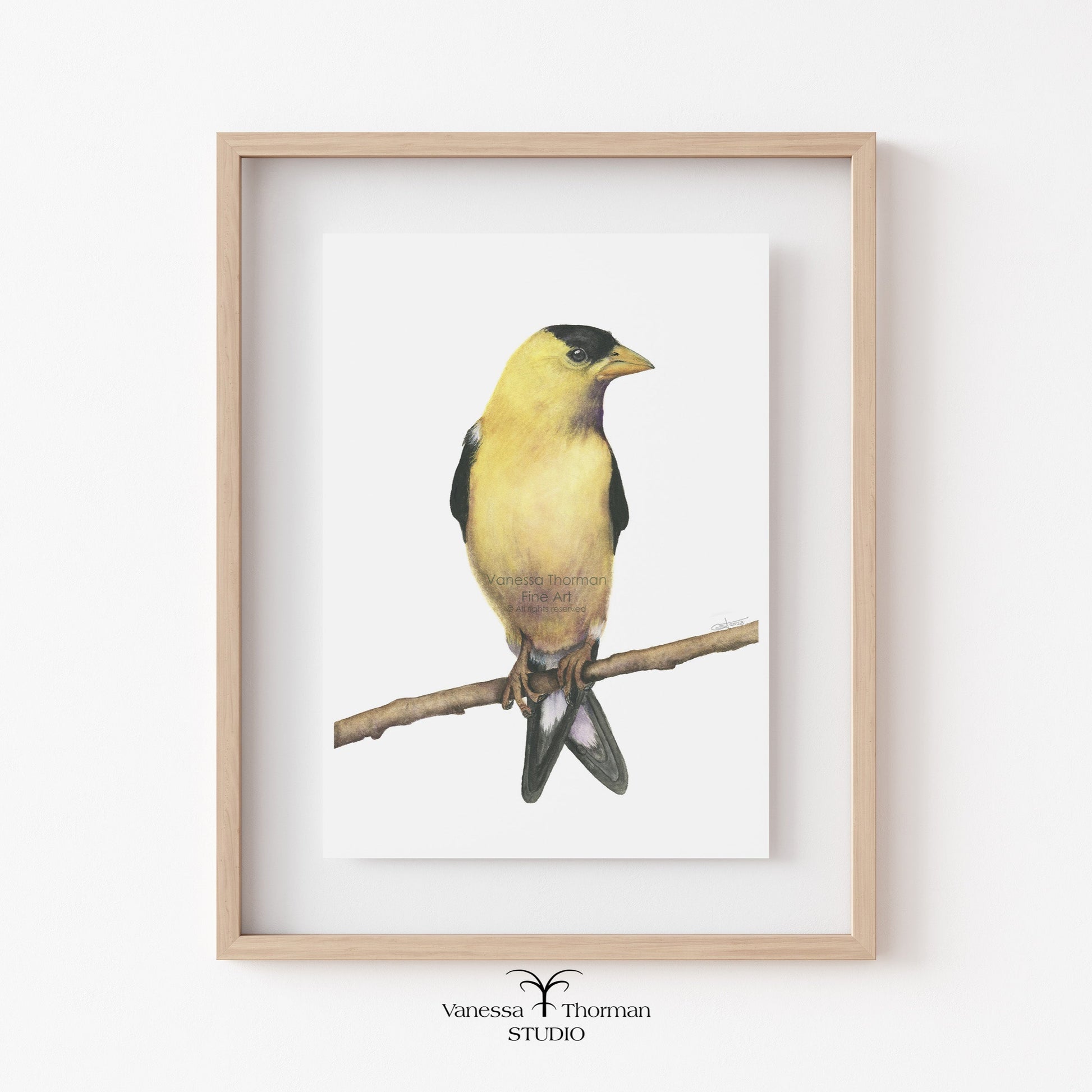 goldfinch-watercolor-art-print-1