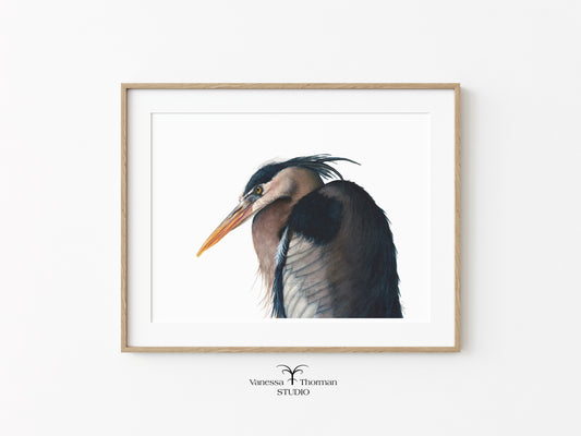 great-blue-heron-watercolor-art-print-1