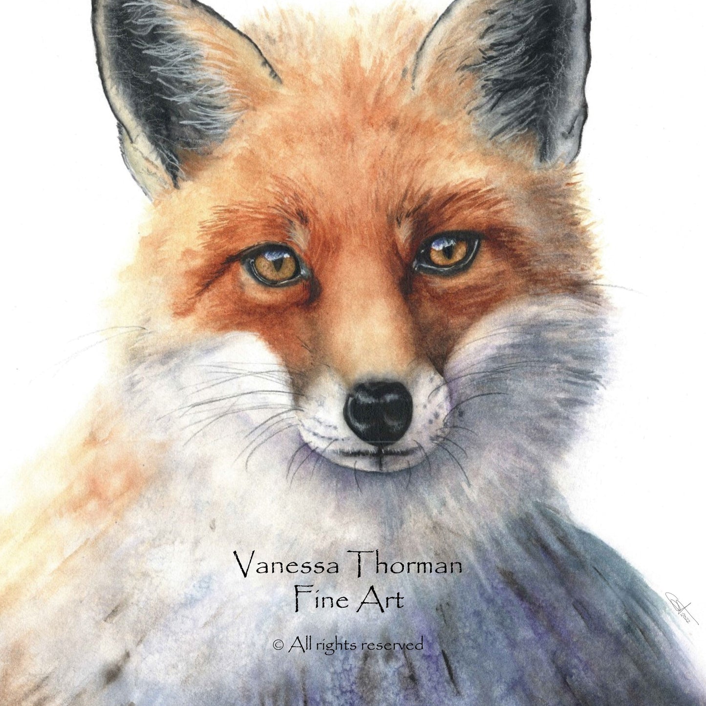 red-fox-watercolor-art-print-1