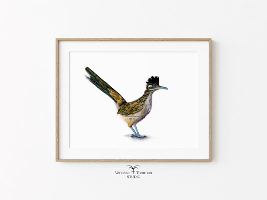 roadrunner-watercolor-art-print-1