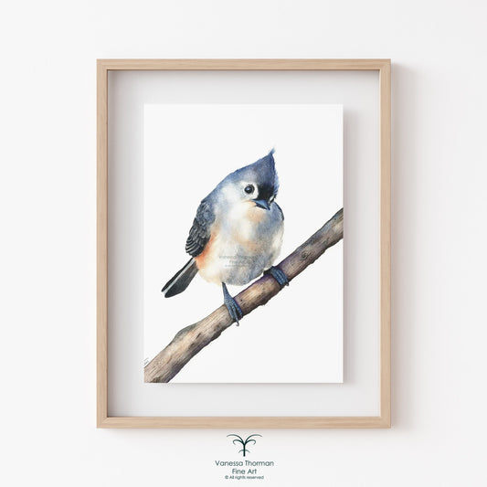 tufted-titmouse-watercolor-art-print-1