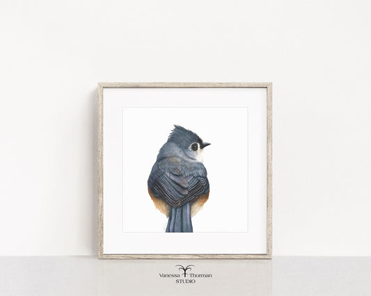 tufted-titmouse-watercolor-art-print-1