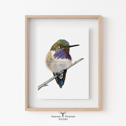 volcano-hummingbird-watercolor-art-print-1