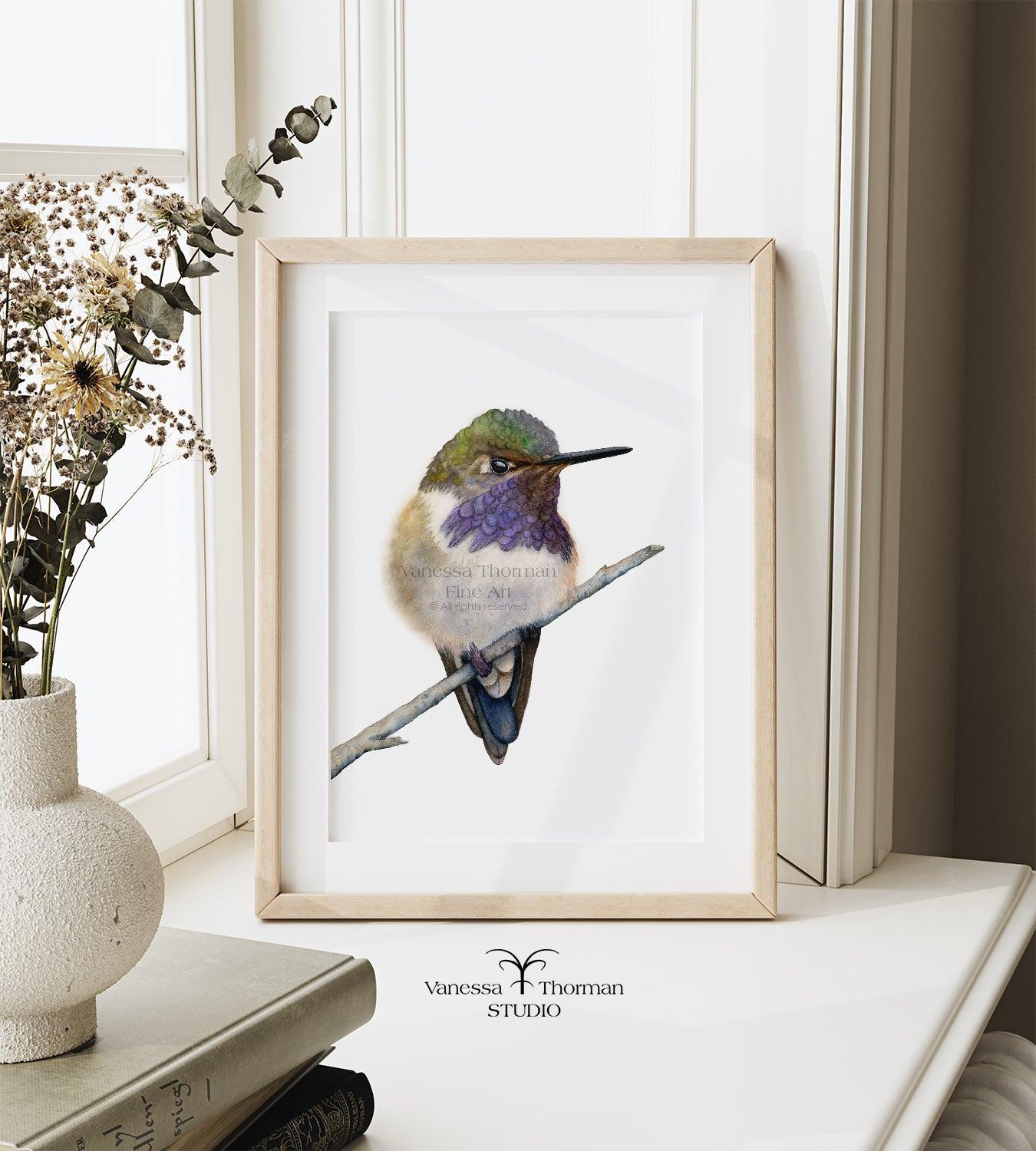 volcano-hummingbird-watercolor-art-print-1