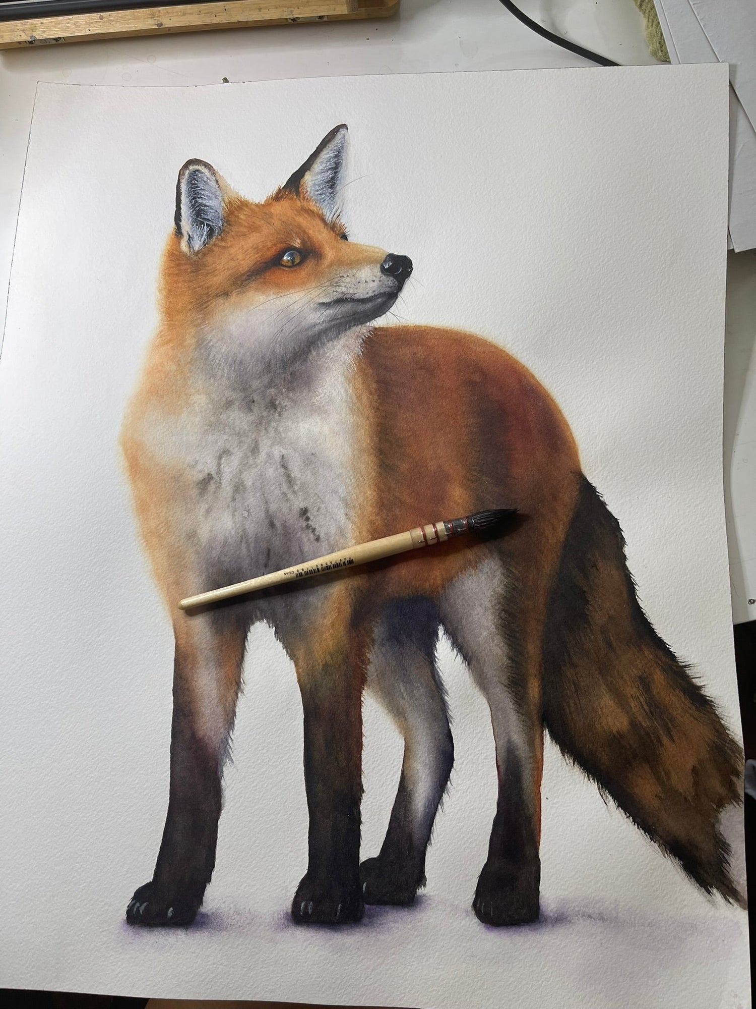 Original Watercolor Paintings