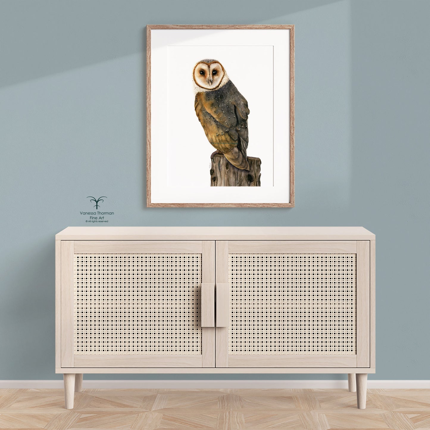 Barn Owl I - Fine Art Print