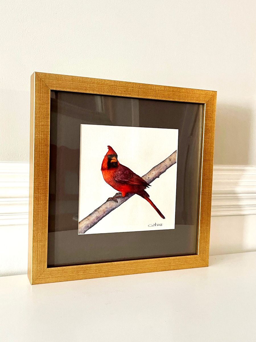 Framed painting of a red cardinal bird on a branch with a gold frame