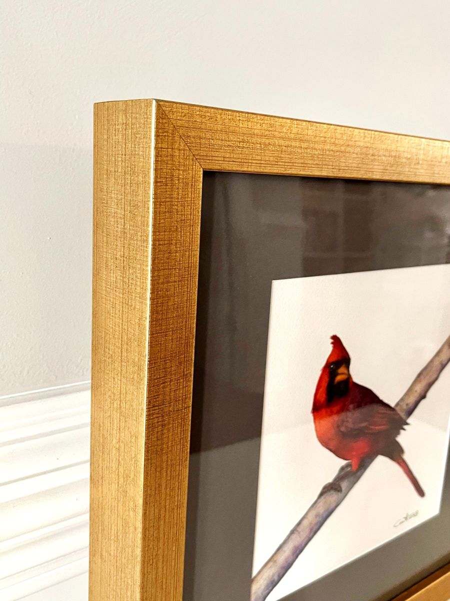 Framed picture of a red bird on a branch with a gold frame.